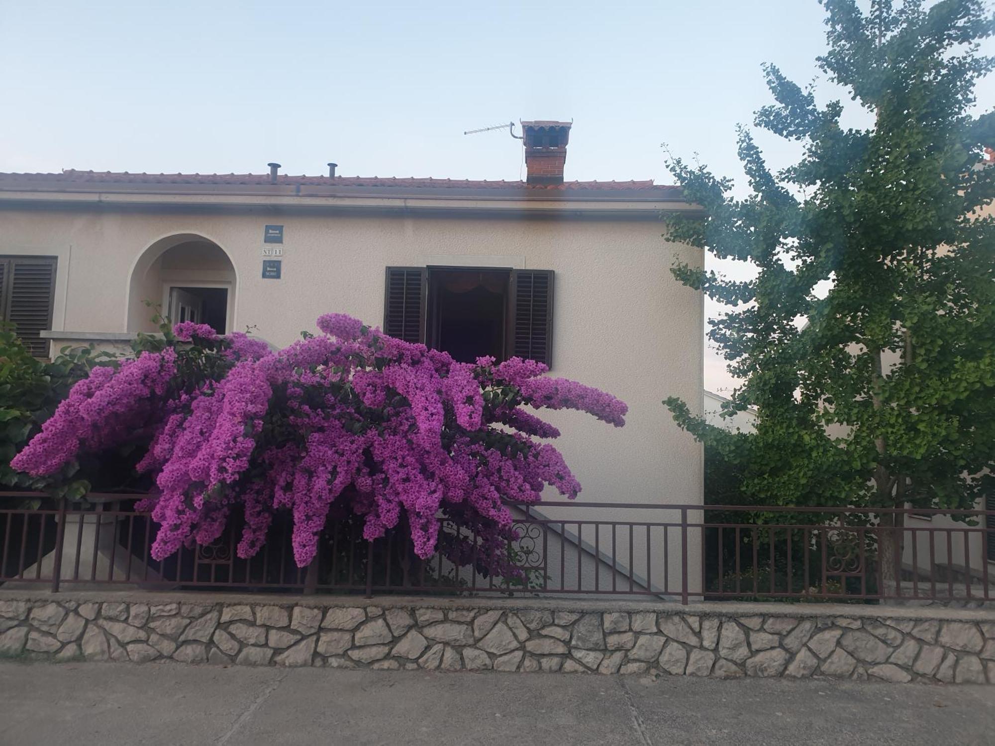 Apartments Mara Mali Lošinj Kültér fotó